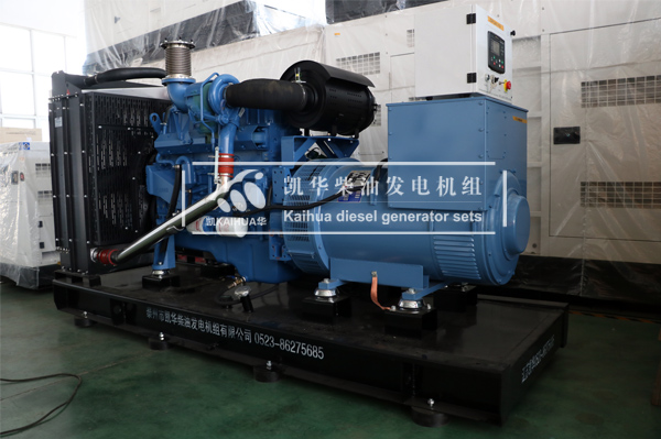 海南人（rén）防300KW玉（yù）柴發電機組成（chéng）功出廠