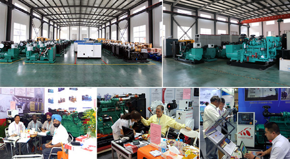 91香蕉视频下载安装簡介